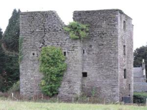 Pitcur Castle